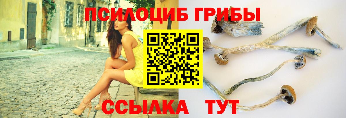 Волоколамск  Псилоцибиновые грибы прущие грибы  Псилоцибиновые грибы ЛСД  Вход с VPN 